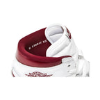 Air Jordan 1 Retro High '85 OG 'Metallic Burgundy'