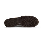 Nike Dunk Low Next Nature 'Summit White Baroque Brown'