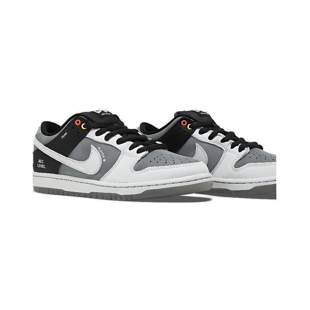 Nike Dunk Low SB 'Camcorder'