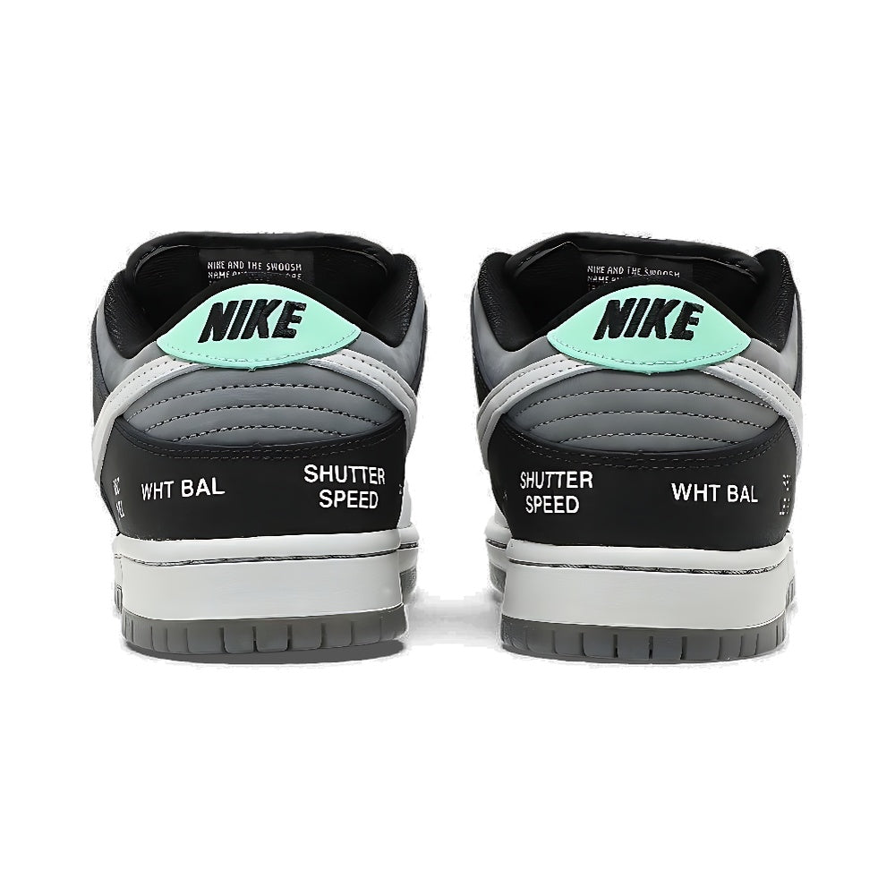 Nike Dunk Low SB 'Camcorder'