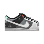 Nike Dunk Low SB 'Camcorder'