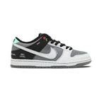 Nike Dunk Low SB 'Camcorder'
