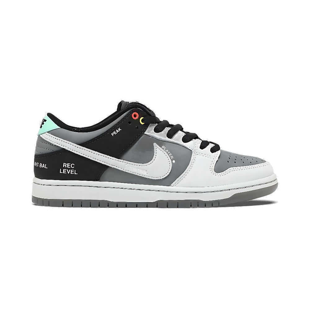 Nike Dunk Low SB 'Camcorder'