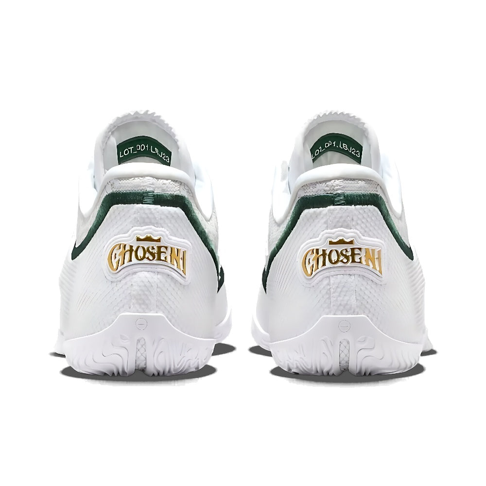 Nike Lebron 23 'From This Point Forward'