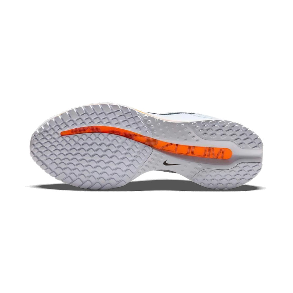 Nike Pegasus Premium 'Airscape'
