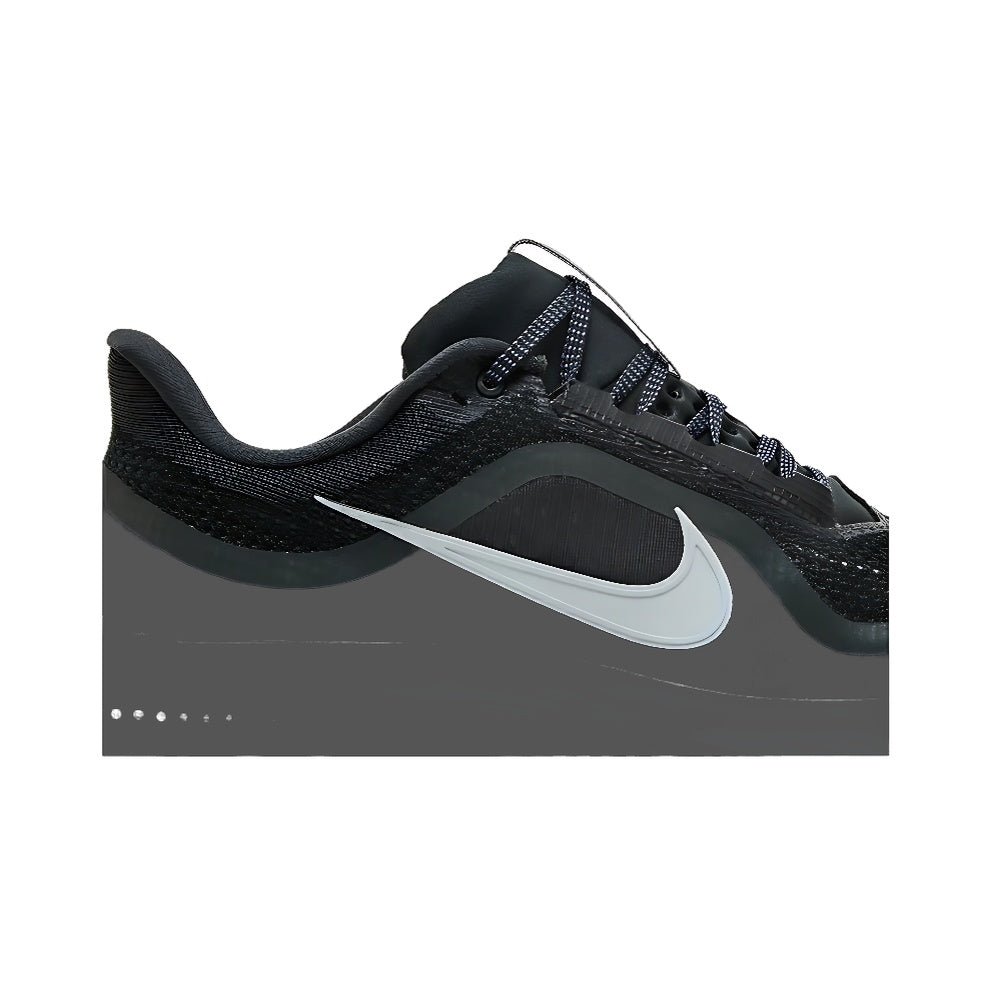Nike Pegasus Premium 'Anthracite'