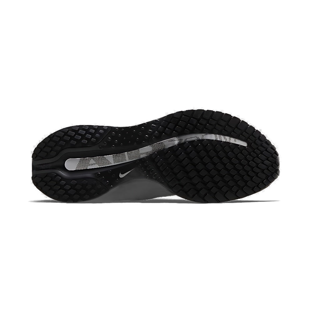 Nike Pegasus Premium 'Black Metallic Silver'