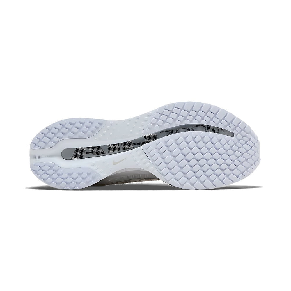 Nike Pegasus Premium 'White Metallic Silver'