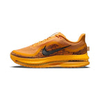 Nike Pegasus Premium LV8 'Modern Mayfly Pack'