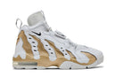 Nike Air DT Max '96 'Colorado Away - White Gold'